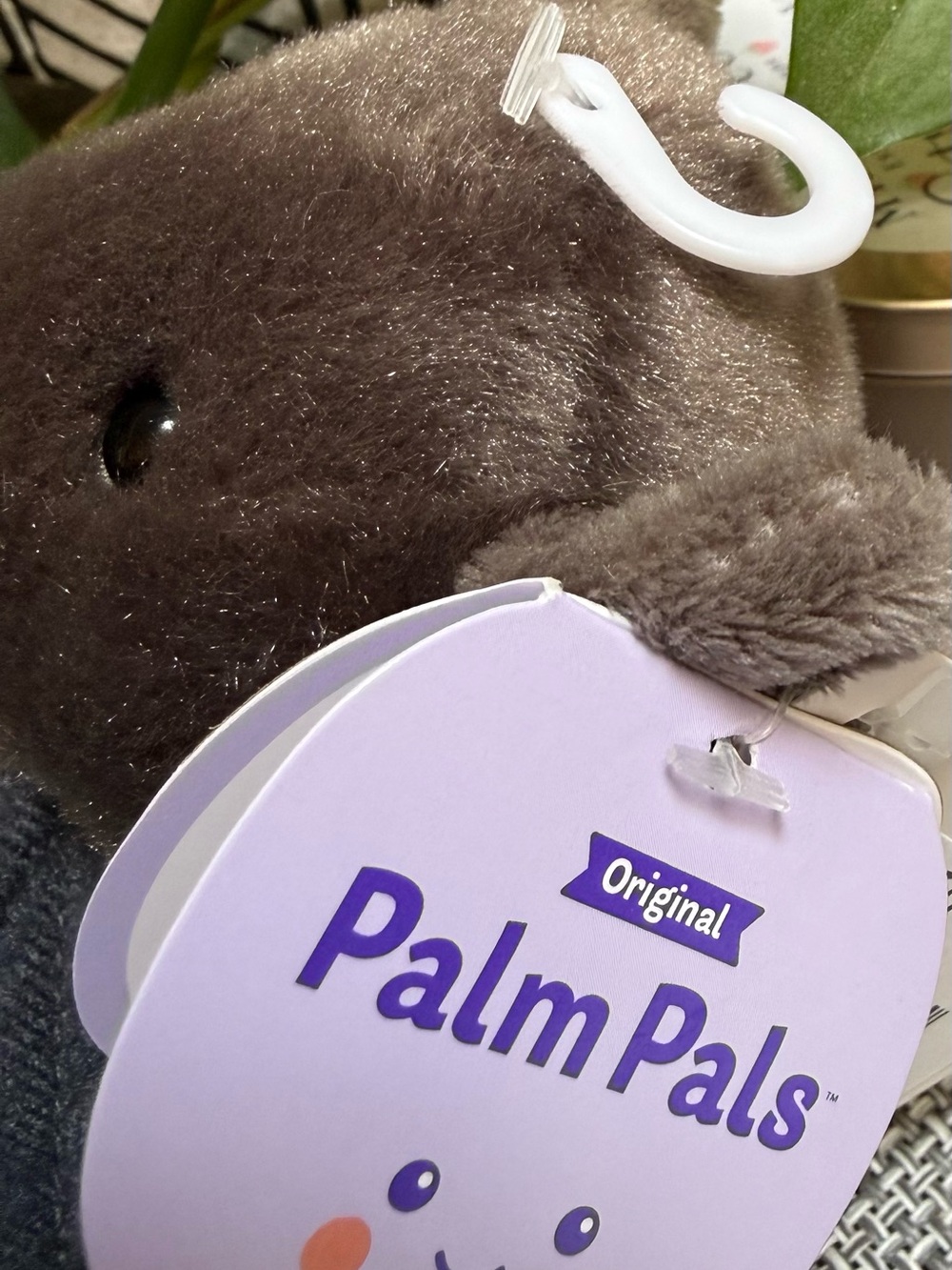 Luna Palm Pals Plush Bat Small Toy🦇Grey Brown Stuffy Fidget or Collectable - Picture 5 of 5